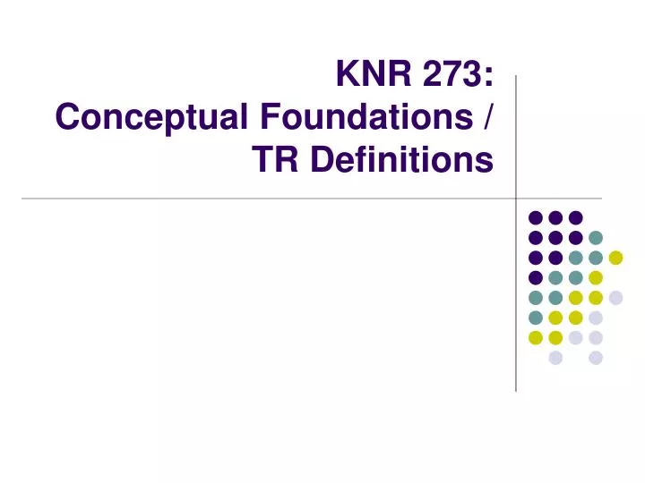 knr 273 conceptual foundations tr definitions
