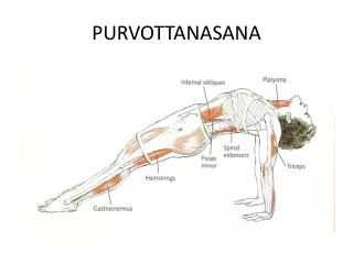 purvottanasana
