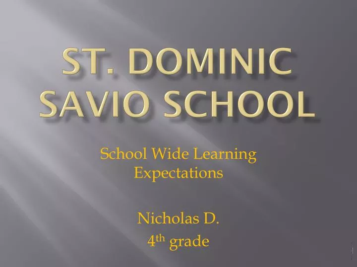 st dominic savio school