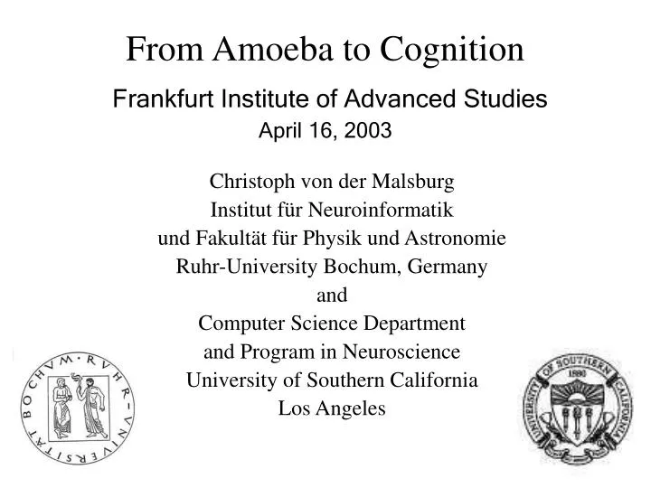 from amoeba to cognition frankfurt institute of advanced studies april 16 2003