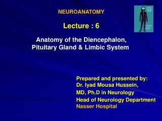 NEUROANATOMY Lecture : 6 Anatomy of the Diencephalon, Limbic System Pituitary Gland &amp;
