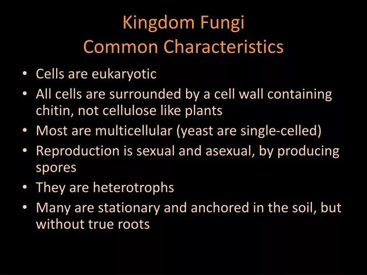 kingdom fungi common characteristics