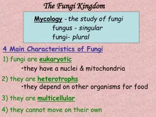 The Fungi Kingdom