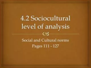 4.2 Sociocultural level of analysis