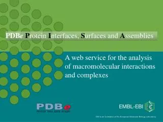 A web service for the analysis of macromolecular interactions and complexes