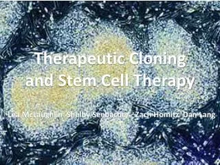 Therapeutic Cloning and Stem Cell Therapy