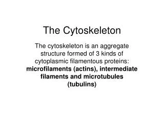 The Cytoskeleton