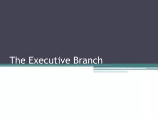 the executive branch