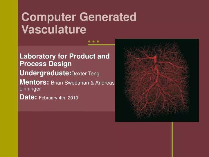 computer generated vasculature