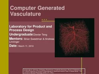 Computer Generated Vasculature