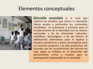 elementos conceptuales