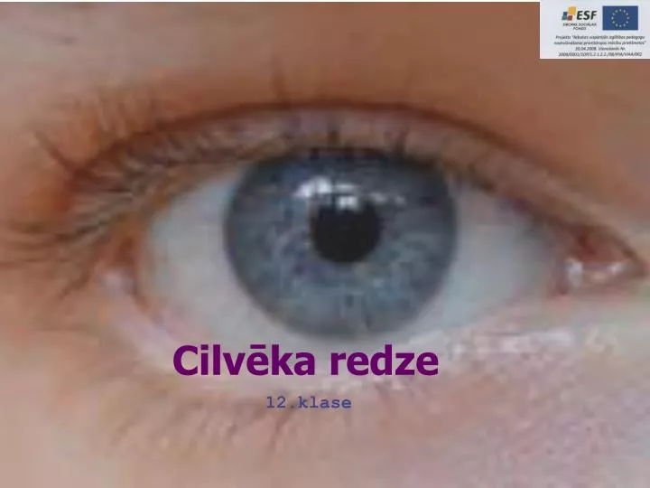 cilv ka redze