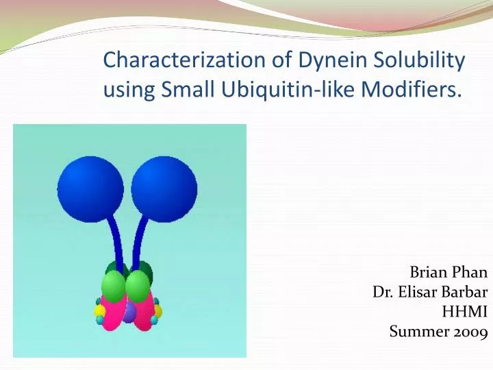 characterization of dynein solubility using small ubiquitin like modifiers