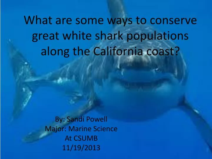what are some ways to conserve great white shark populations along the california coast