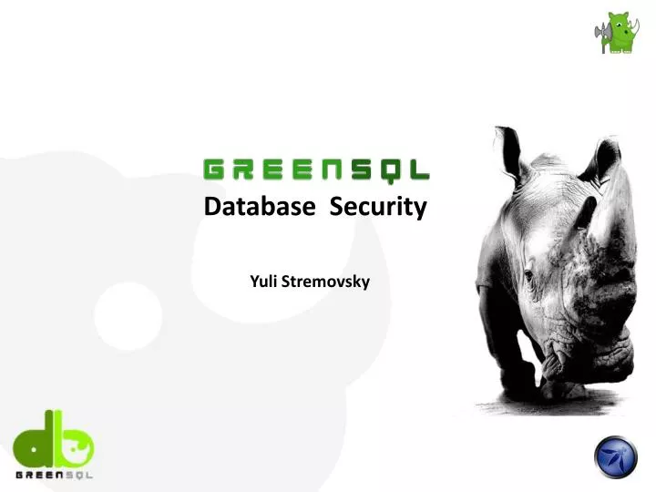 database security