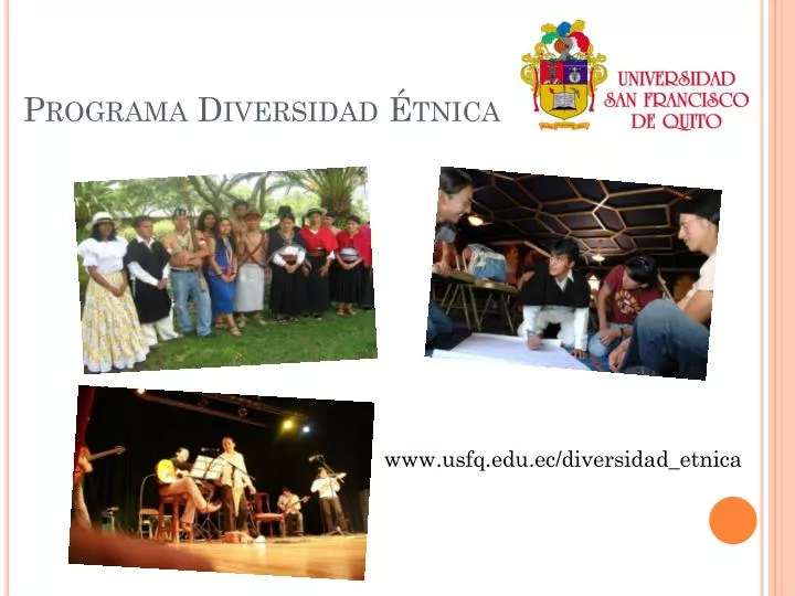 programa diversidad tnica