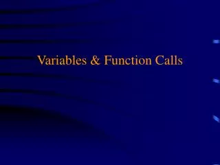 Variables &amp; Function Calls
