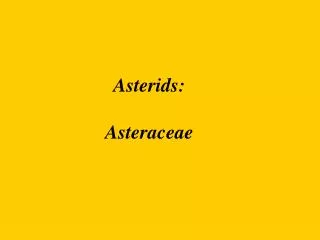 Asterids: Asteraceae
