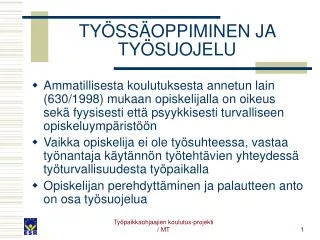ty ss oppiminen ja ty suojelu