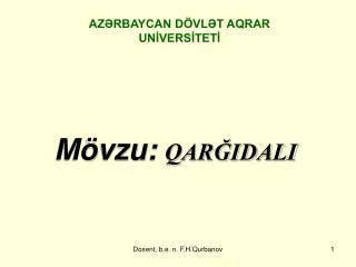 m vzu qar idali
