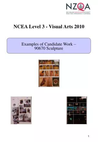 NCEA Level 3 - Visual Arts 2010