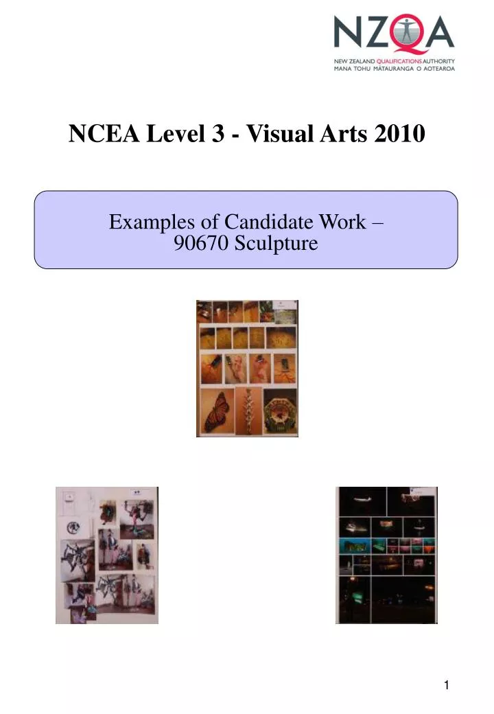 ncea level 3 visual arts 2010
