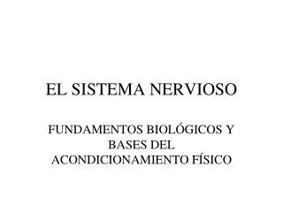 el sistema nervioso