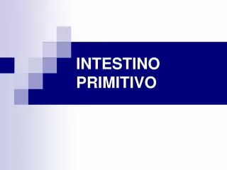intestino primitivo