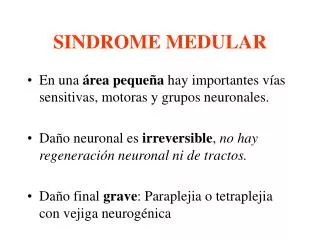 sindrome medular