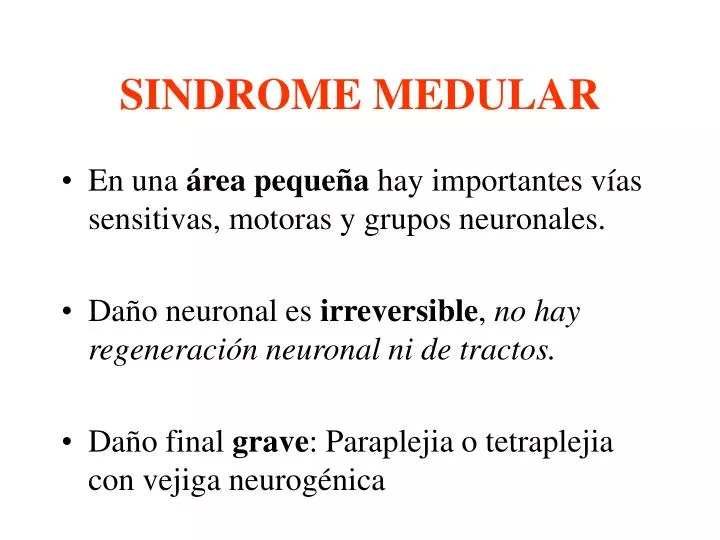 sindrome medular
