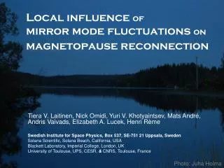 Local influence of mirror mode fluctuations on magnetopause reconnection