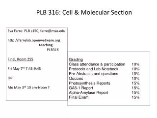 PLB 316: Cell &amp; Molecular Section