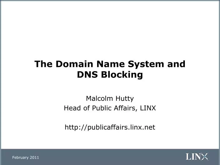 the domain name system and dns blocking