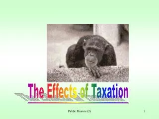 The Effects of Taxation