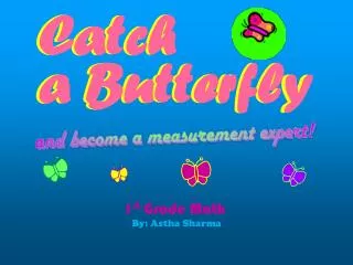 Catch a Butterfly