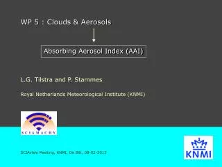 WP 5 : Clouds &amp; Aerosols