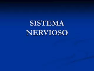 sistema nervioso