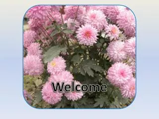 Welcome