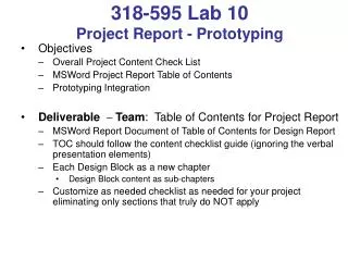 318-595 Lab 10 Project Report - Prototyping