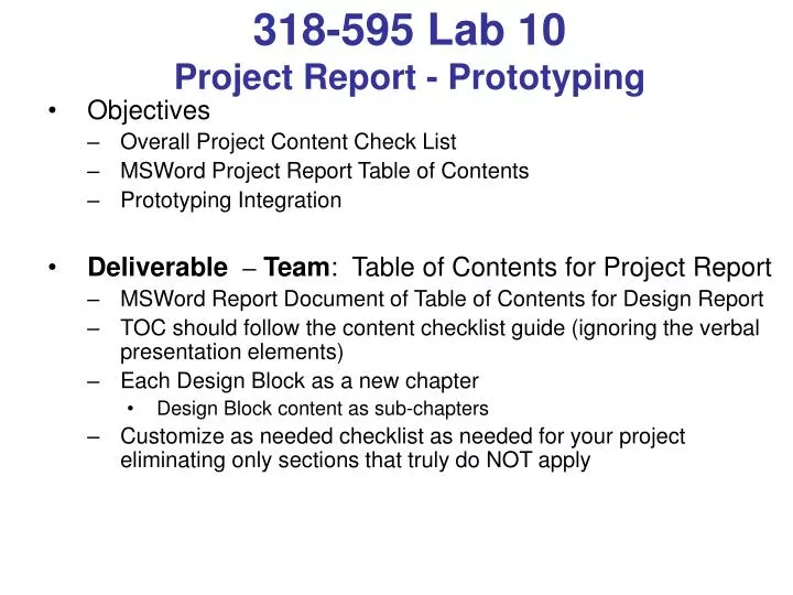 318 595 lab 10 project report prototyping