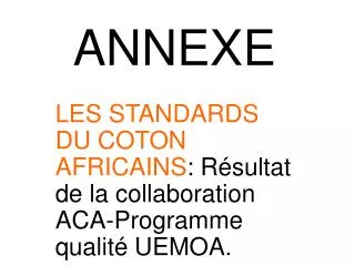 ANNEXE