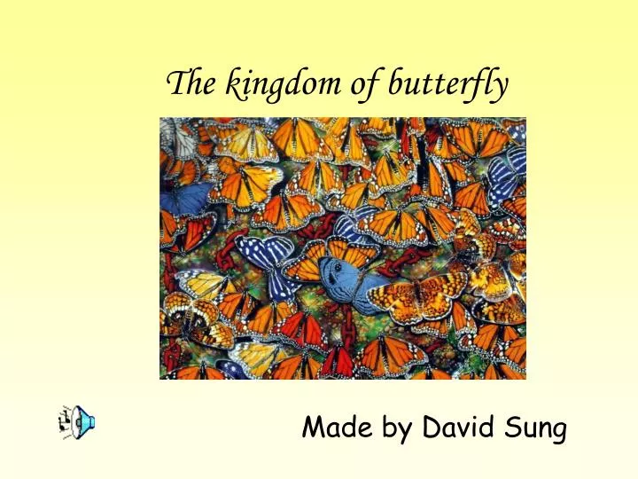 the kingdom of butterfly