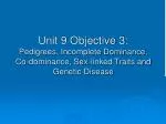 Pedigree - slide 1