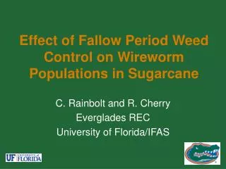 Effect of Fallow Period Weed Control on Wireworm Populations in Sugarcane