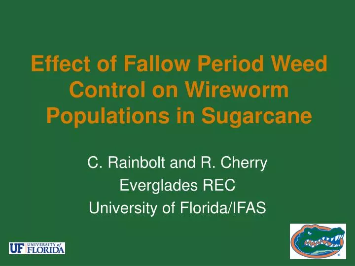 effect of fallow period weed control on wireworm populations in sugarcane
