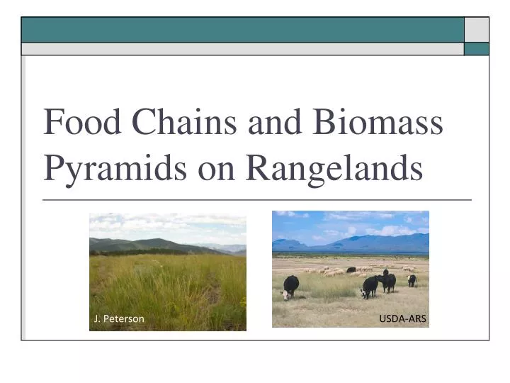 food chains and biomass pyramids on rangelands