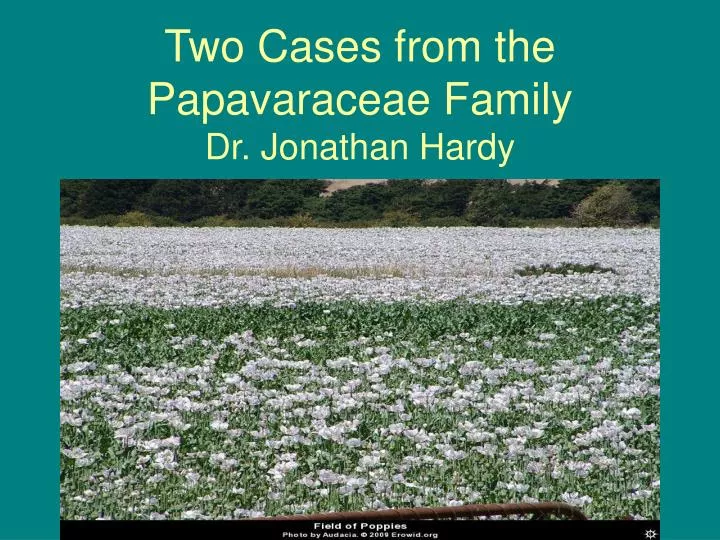 two cases from the papavaraceae family dr jonathan hardy