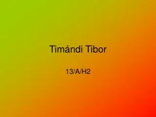 tim ndi tibor