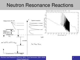 Neutron Resonance Reactions