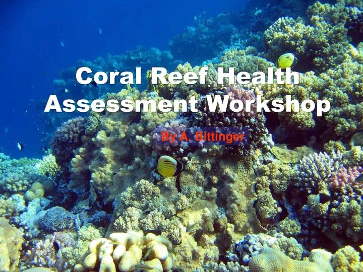 coral reef health assessment workshop